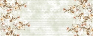 双边定位