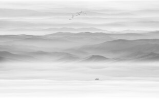 山水水墨画