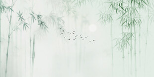 新中式水墨竹子 竹影
