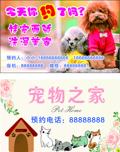 可爱宠物洗澡美容名片手卡
