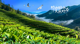 梯田茶山