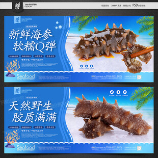 海参海报