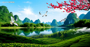 桂林山水茶山