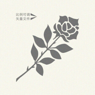 玫瑰插画 