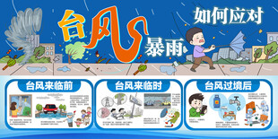 台风暴雨如何应对展板