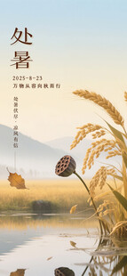处暑时节湖畔麦穗美景