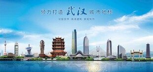 武汉背景