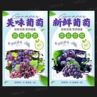 葡萄海报