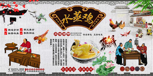 水蒸鸡背景墙