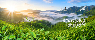 茶山