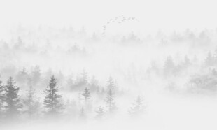 新中式迷雾森林水墨山水装饰壁画
