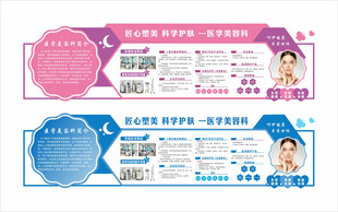 美容整形项目宣传文化墙