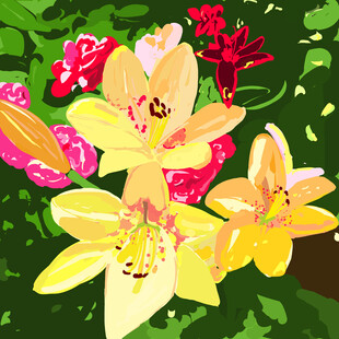 百合花插图元素