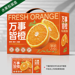 橙子包装 脐橙礼盒