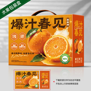 春见包装 桔子礼盒