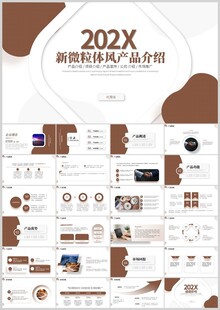 202X商务通用工作介绍PPT