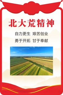 北大荒