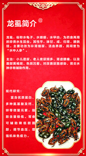龙虱 食物 美食 小食 其他 
