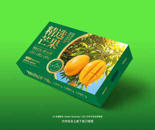 精选芒果包装礼盒