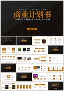 商业计划书PPT模板展示