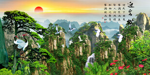 黄山迎客松