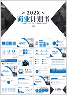 202X商业计划书PPT模板