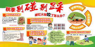 红火蚁展板