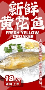 新鲜黄花鱼