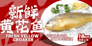 新鲜黄花鱼