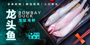 龙头鱼 