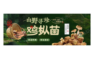 鸡枞菌