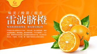 雷波脐橙
