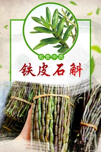 铁皮石斛