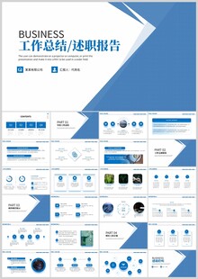 商务工作总结汇报PPT