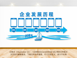 企业发展历程