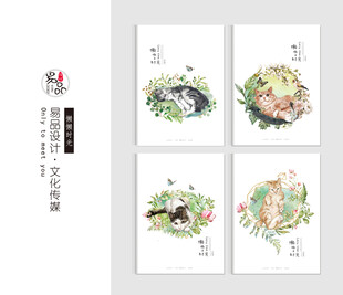 懒懒时光