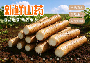 新鲜山药宣传图