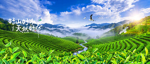 茶山