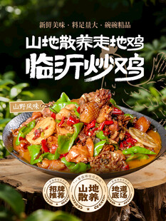 临沂炒鸡宣传海报