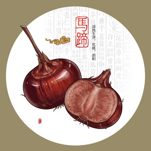 马蹄