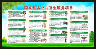 国家基本公共卫生服务项目
