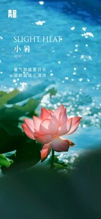 水彩写意荷塘红荷花