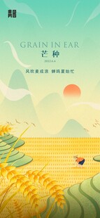 芒种节气田野插画