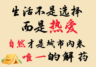 网红挂布