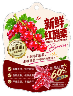 新鲜红醋栗包装设计