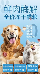 鲜肉冻干猫粮宣传海报
