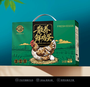 鸡蛋包装