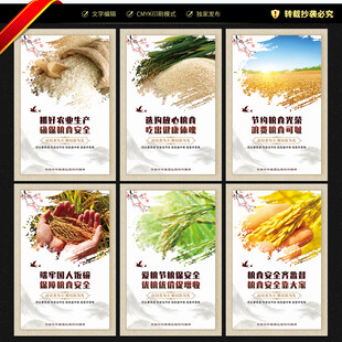 节约粮食展板