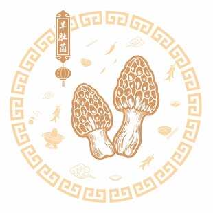 羊肚菌
