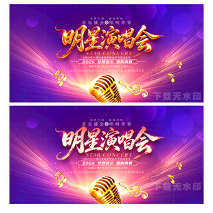 明星演唱会